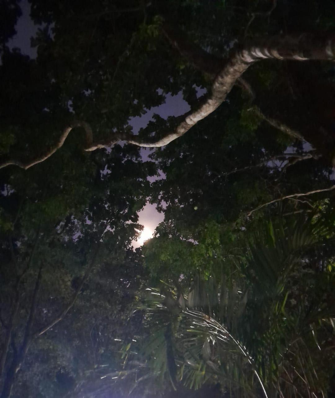 Cacadores De Aventuras - Chales E Quartos Praia de Pipa Exterior foto